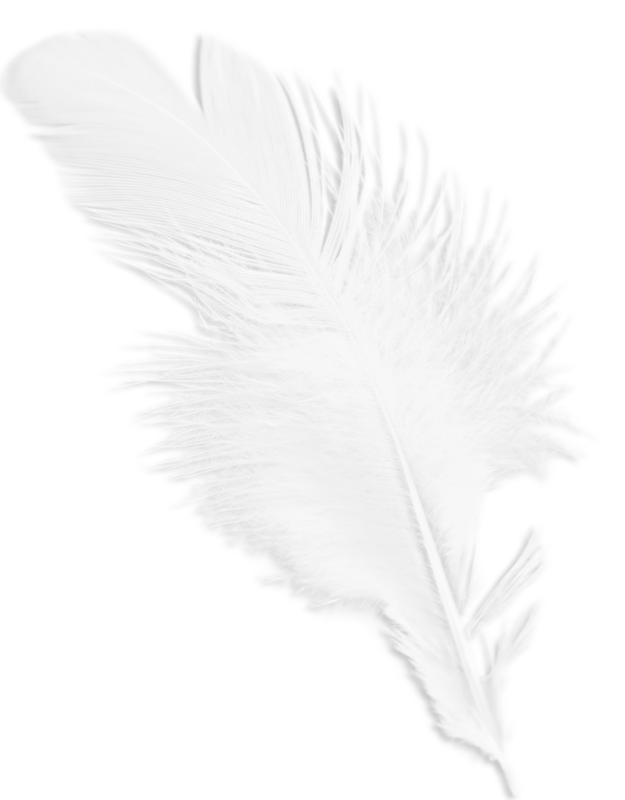 White feather